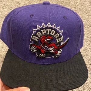 Raptors SnapBack